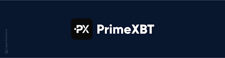 Understanding the Terms And Conditions PrimeXBT 5